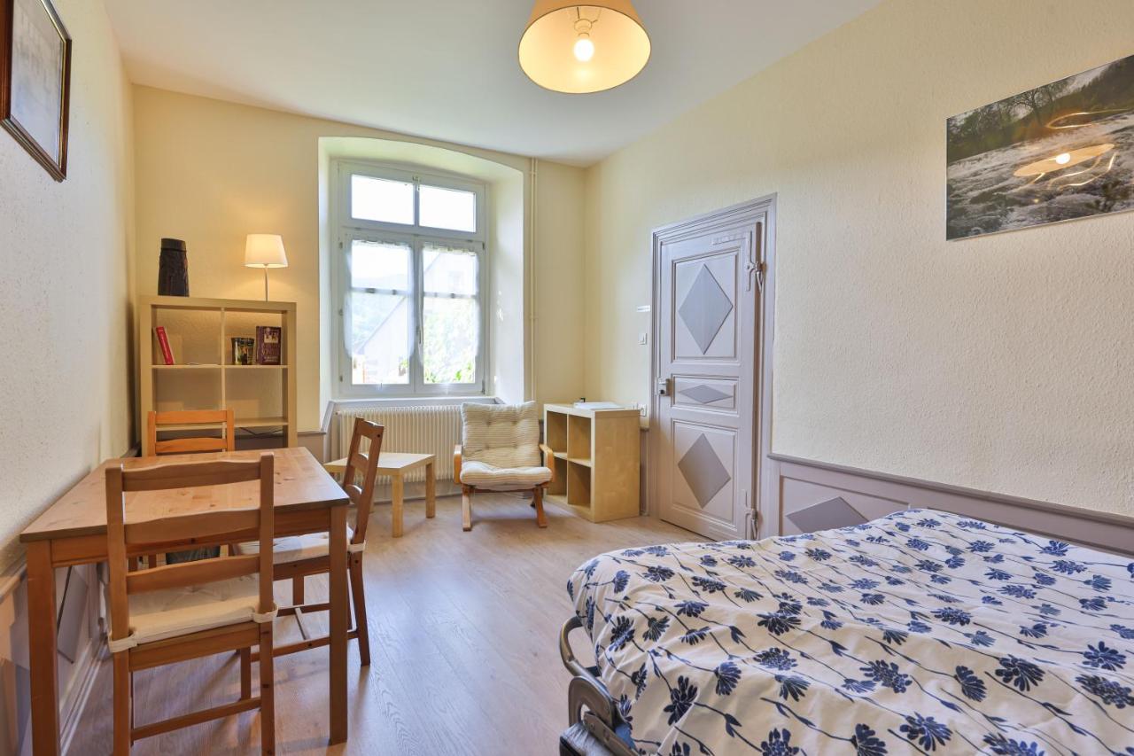 Ancien Presbytere Albert Schweitzer Gunsbach エクステリア 写真